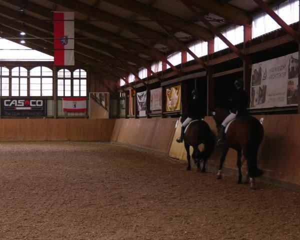 Reitturnier Elisenau 2023