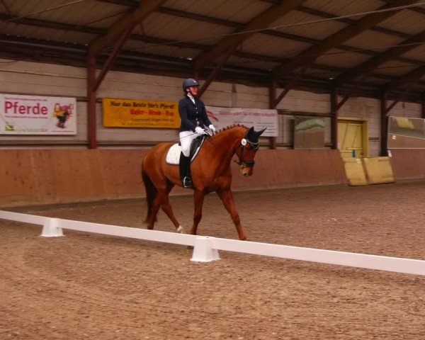 Reitturnier Elisenau 2023