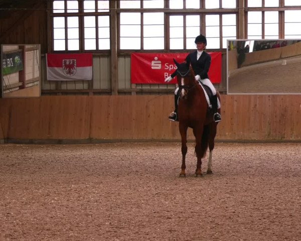 Reitturnier Elisenau 2023