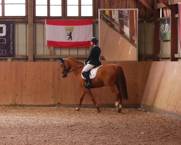 Reitturnier Elisenau 2023