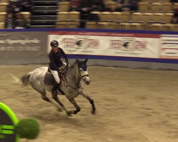 FEI Reitturnier Neumünster (GER) 2021