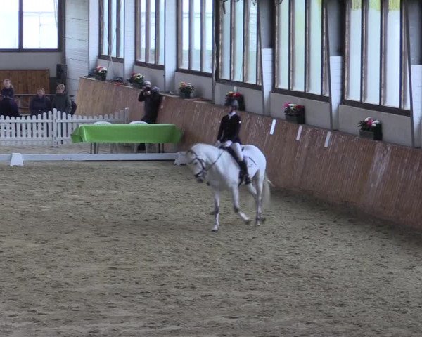 Reitturnier Werne-Lenklar 2023