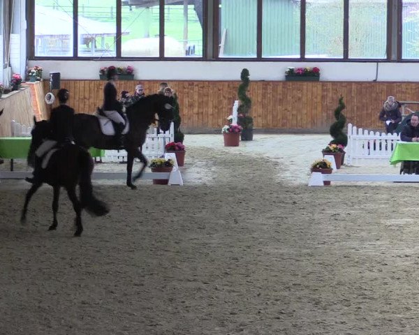 Reitturnier Werne-Lenklar 2023
