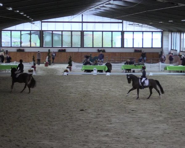 Reitturnier Werne-Lenklar 2023