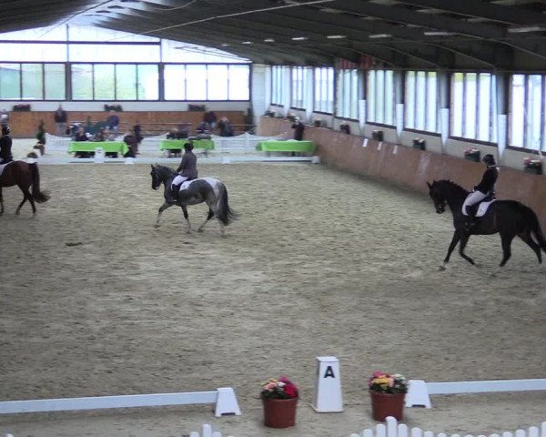 Reitturnier Werne-Lenklar 2023