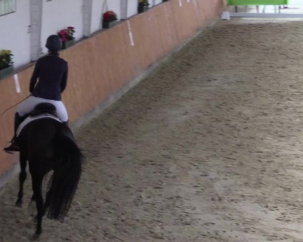 Reitturnier Werne-Lenklar 2023