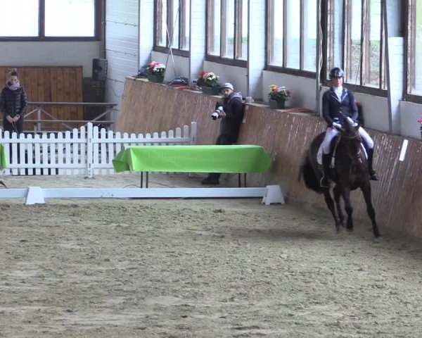 Reitturnier Werne-Lenklar 2023