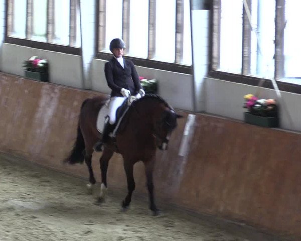 Reitturnier Werne-Lenklar 2023