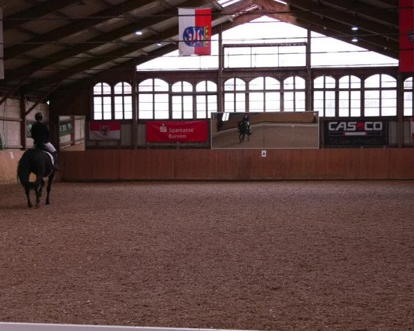 Reitturnier Elisenau 2023