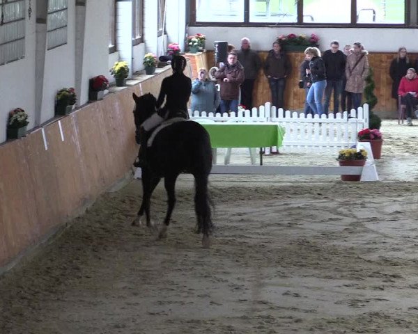 Reitturnier Werne-Lenklar 2023