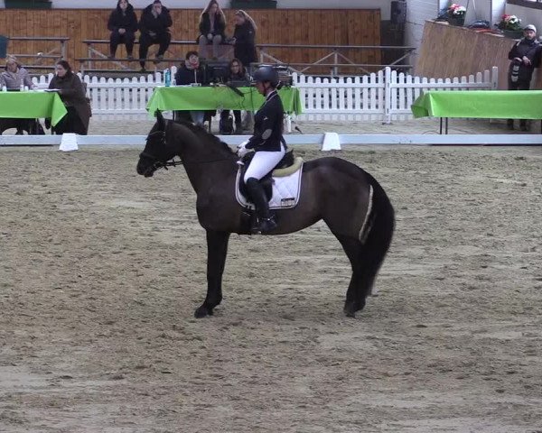 Reitturnier Werne-Lenklar 2023
