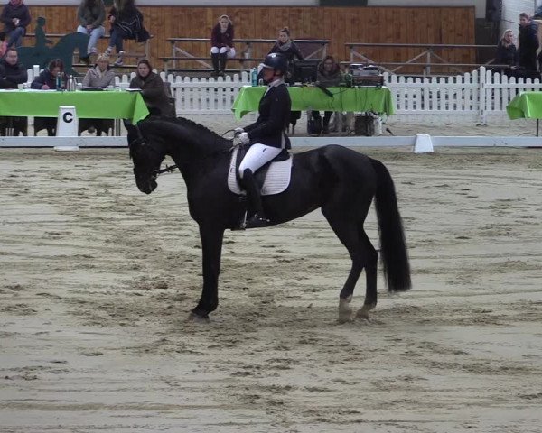 Reitturnier Werne-Lenklar 2023