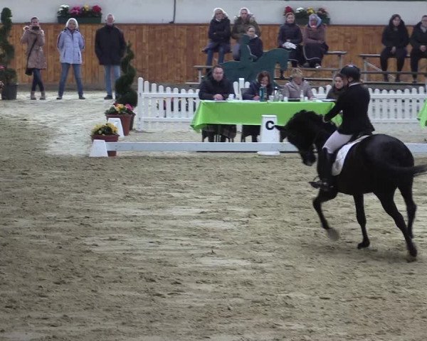Reitturnier Werne-Lenklar 2023