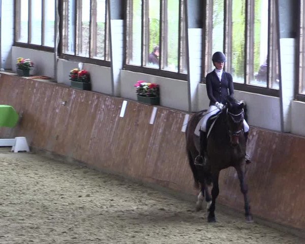 Reitturnier Werne-Lenklar 2023