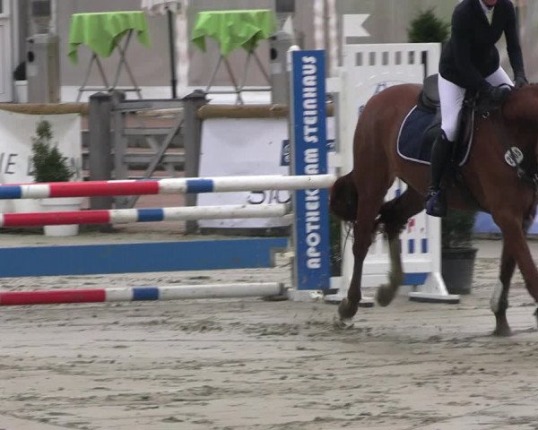 Reitturnier Werne-Lenklar 2023
