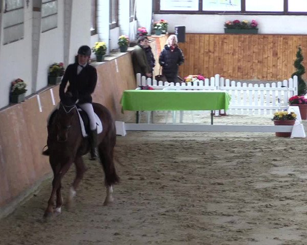 Reitturnier Werne-Lenklar 2023