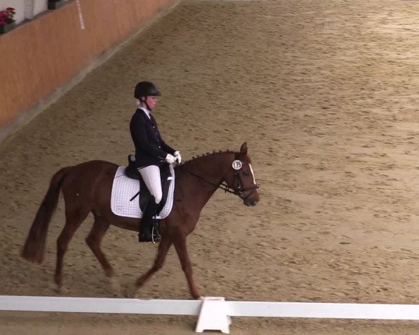 Reitturnier Werne-Lenklar 2023