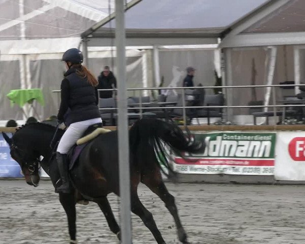 Reitturnier Werne-Lenklar 2023