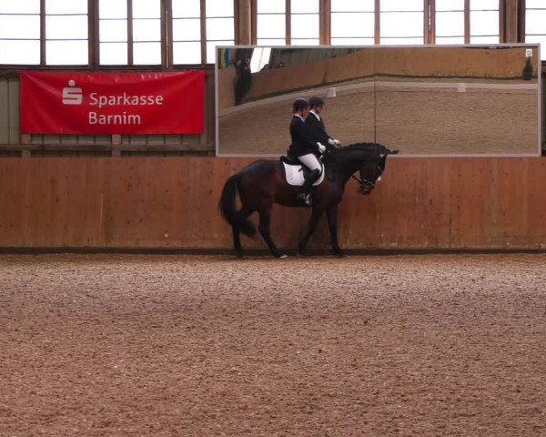 Reitturnier Elisenau 2023