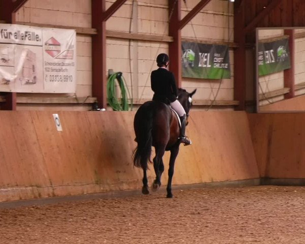 Reitturnier Elisenau 2023