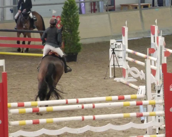 Reitturnier Waghäusel-Wiesental 2023