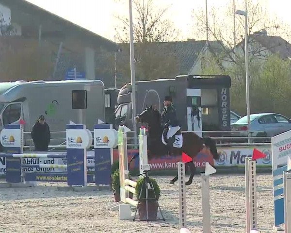 Reitturnier Grafenrheinfeld/Ufr. 2023