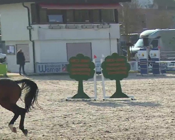 Reitturnier Grafenrheinfeld/Ufr. 2023