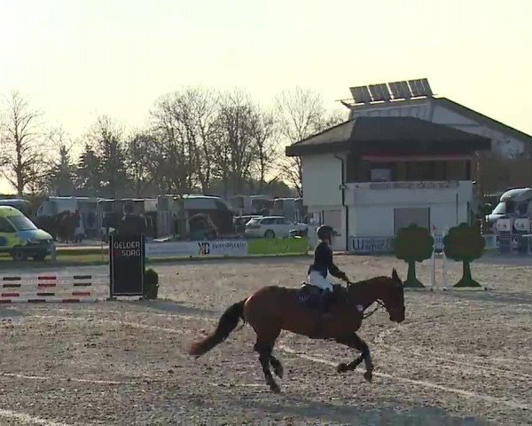 Reitturnier Grafenrheinfeld/Ufr. 2023