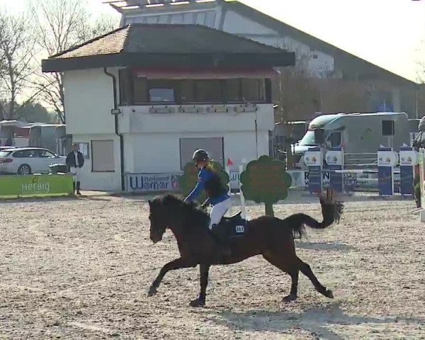 Reitturnier Grafenrheinfeld/Ufr. 2023