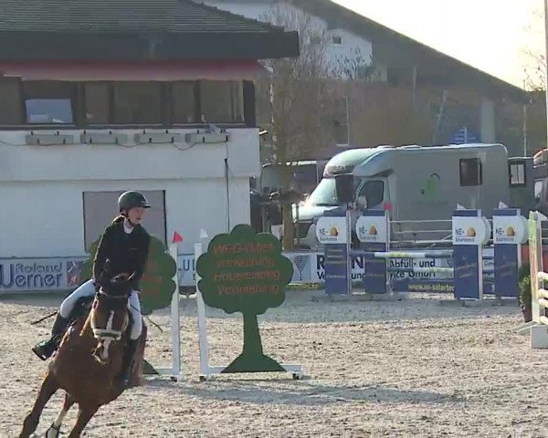 Reitturnier Grafenrheinfeld/Ufr. 2023