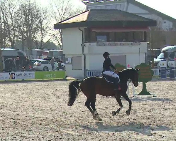 Reitturnier Grafenrheinfeld/Ufr. 2023