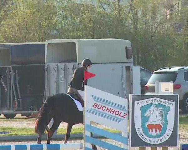 Reitturnier Grafenrheinfeld/Ufr. 2023