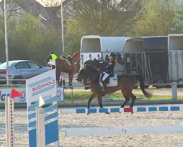 Reitturnier Grafenrheinfeld/Ufr. 2023