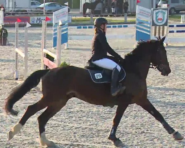 Reitturnier Grafenrheinfeld/Ufr. 2023