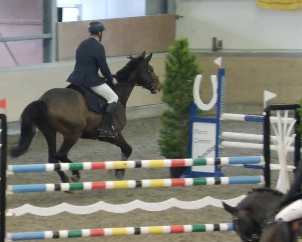 Reitturnier Waghäusel-Wiesental 2023