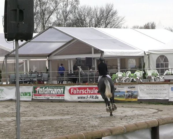 Reitturnier Werne-Lenklar 2023