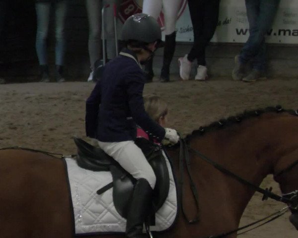 Reitturnier Heilbronn 2021