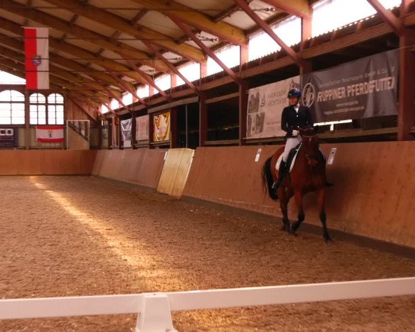 Reitturnier Elisenau 2023