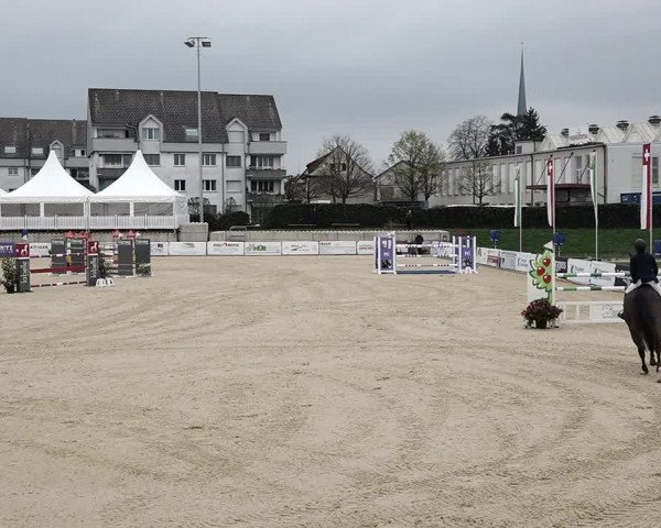 Reitturnier Amriswil 2023