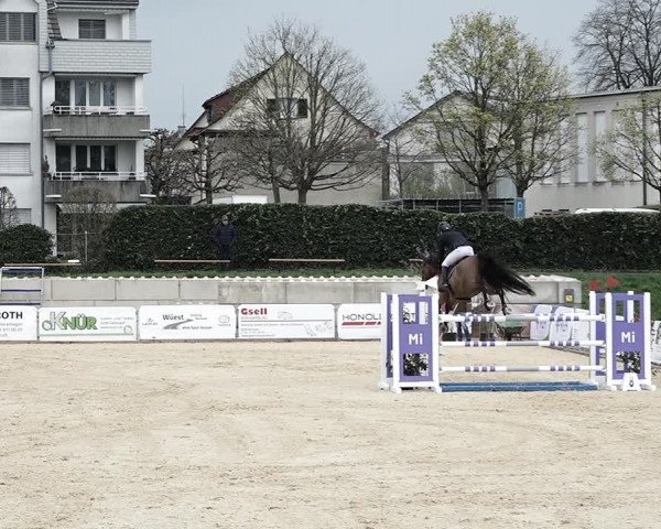 Reitturnier Amriswil 2023