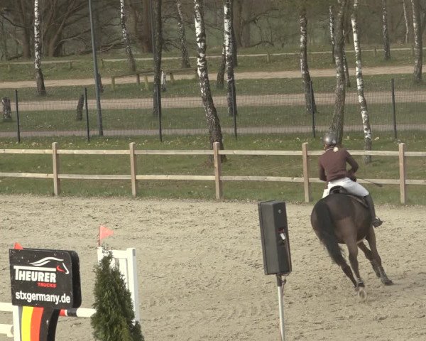 Reitturnier Westergellersen 2023