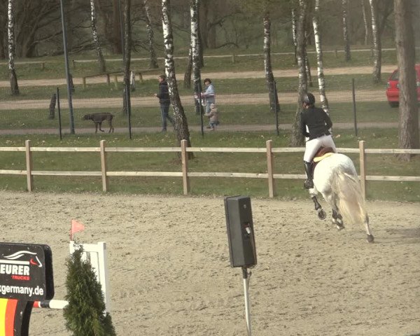 Reitturnier Westergellersen 2023