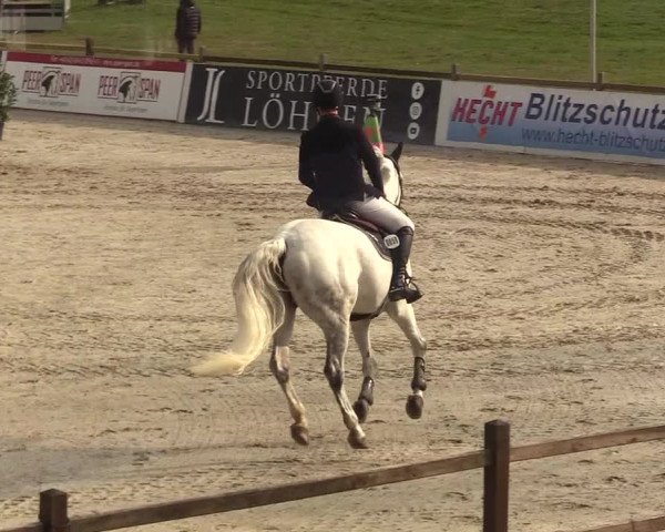 Reitturnier Westergellersen 2023