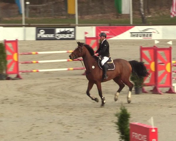 Reitturnier Westergellersen 2023
