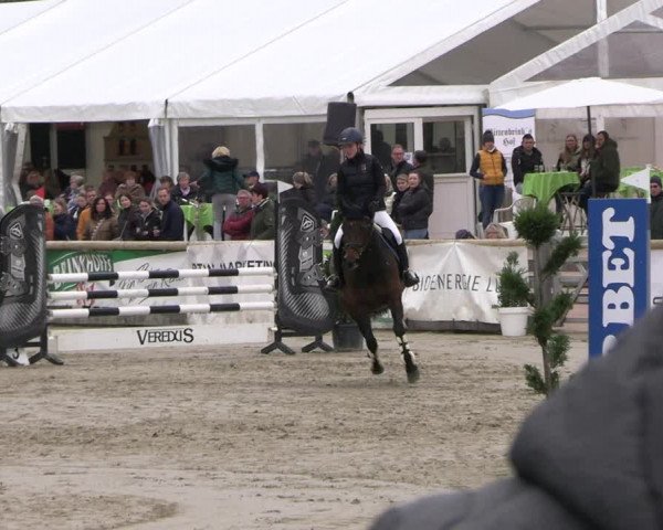 Reitturnier Werne-Lenklar 2023