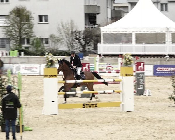 Reitturnier Amriswil 2023
