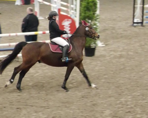Reitturnier Waghäusel-Wiesental 2023