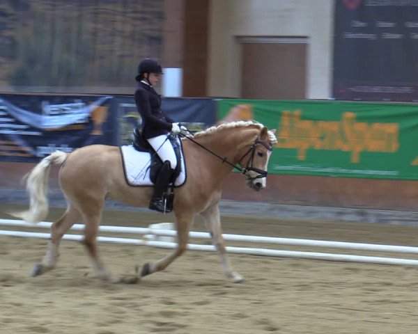 Reitturnier Weikersdorf 2023