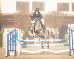 jumper Kalysta (KWPN (Royal Dutch Sporthorse), 2015, from Cornet's Diamond SN)