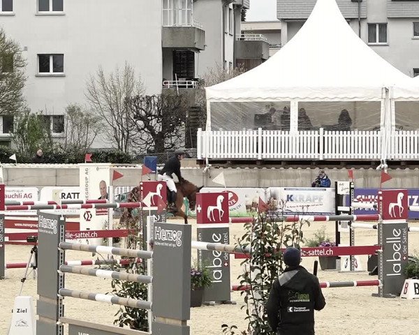 Reitturnier Amriswil 2023